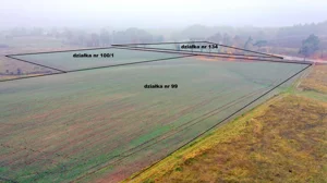 Działka 59 763,00 m², Dziubiele, Sprzedaż