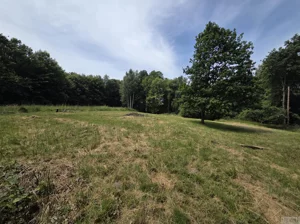 Działka 1 720,00 m², Skawce, Sprzedaż