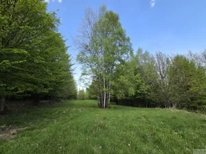Działka 5 511,00 m², Tarnawa Dolna, Sprzedaż