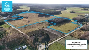 Działka 199 658,00 m², Dąbrówno, Sprzedaż