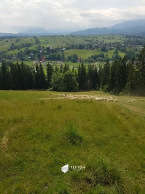 Działka 2 937,00 m², Zakopane, Łosiówki, Sprzedaż