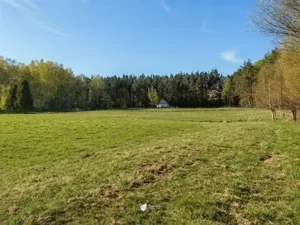 Działka 3 000,00 m², Czapielsk, Przebiśniegowa, Sprzedaż