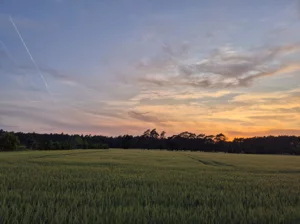 Działka 1 076,00 m², Kliny, Miła, Sprzedaż