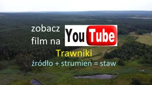Na sprzedaż działka rolna o pow. 5,87ha