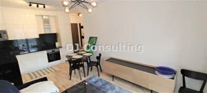 Mieszkanie dwupokojowe 43,00 m², Warszawa, Śródmieście, Wynajem