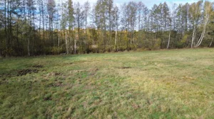 Działka 1 100,00 m², Biały Ług, Sprzedaż