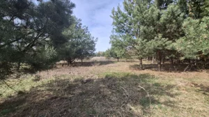 Działka 1 000,00 m², Dobiesz, Sprzedaż