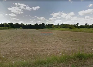 Działka 19 800,00 m², Góra Kalwaria, Sprzedaż
