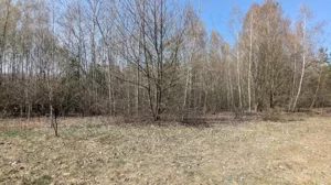 Działka 1 316,00 m², Kotorydz, Sprzedaż