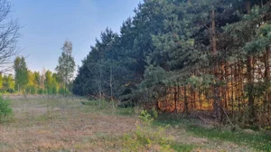 Działka 4 089,00 m², Mirowice, Sprzedaż