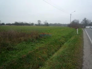 Działka 10 000,00 m², Prażmów, Sprzedaż