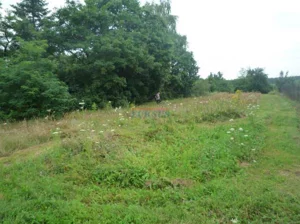 Działka 1 000,00 m², Sierzchów, Sprzedaż