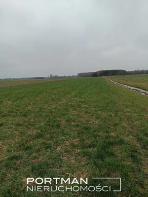 Działka 17 800,00 m², Lasomin, Sprzedaż