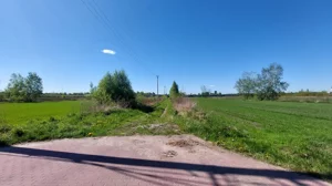 Działka 3 000,00 m², Dybów-Kolonia, Wynajem
