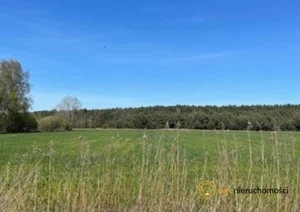 Działka 10 000,00 m², Grędzina, Sprzedaż