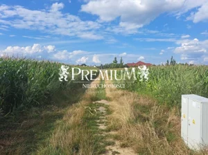 Działka 3 030,00 m², Brzezina, Sprzedaż