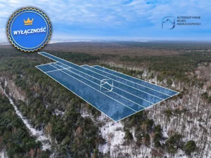 Działka 23 500,00 m², Niemce, Sprzedaż