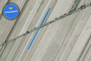 Działka 5 200,00 m², Serniki, Sprzedaż