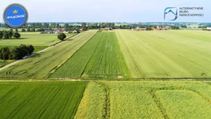 Działka 7 742,00 m², Głusk, Urodzajna, Sprzedaż