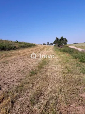 Działka 4 153,00 m², Goszczyno, Sprzedaż