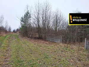 Działka 11 200,00 m², Czerwona Górka, Sprzedaż