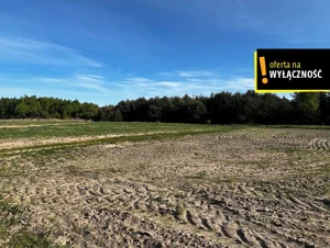 Działka 16 700,00 m², Deszno, Sprzedaż
