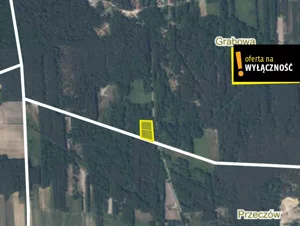 Działka 3 209,00 m², Grabowa, Sprzedaż