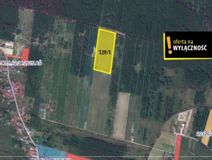 Działka 20 000,00 m², Jasień, Sprzedaż