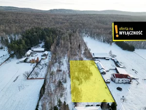 Działka 4 000,00 m², Lechów, Sprzedaż