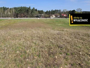 Działka 2 500,00 m², Napęków, Sprzedaż