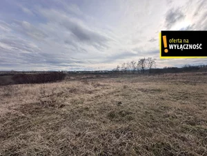 Działka 9 652,00 m², Racibórz, Sprzedaż