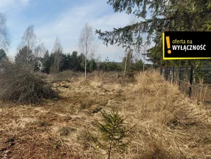 Działka 5 000,00 m², Samsonów, Sprzedaż
