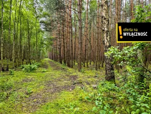 Działka 19 200,00 m², Strzegomek, Sprzedaż