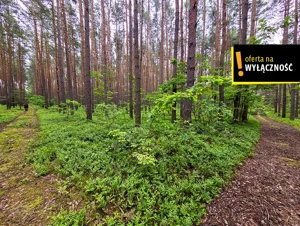 Działka 7 300,00 m², Strzegomek, Sprzedaż