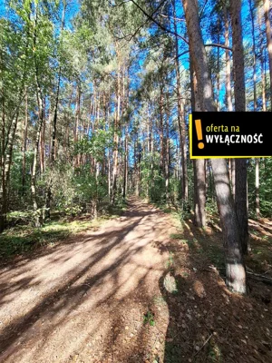 Działka 5 600,00 m², Suków, Sprzedaż