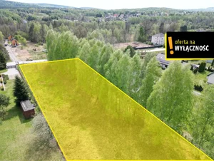 Działka 12 031,50 m², Ćmińsk, Światełek, Sprzedaż