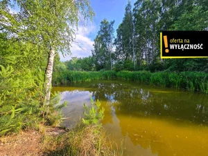 Działka 11 163,00 m², Żuków, Sprzedaż