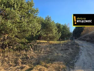 Działka 783,00 m², Życiny, Sprzedaż