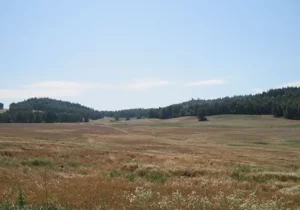 Działka 4 730,00 m², Barcinek, Sprzedaż