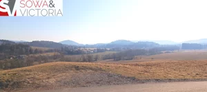 Działka 1 893,00 m², Borówno, Sprzedaż