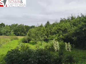 Działka 4 900,00 m², Dziećmorowice, Sprzedaż