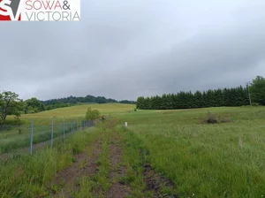 Działka 1 055,00 m², Głuszyca, Sprzedaż