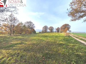 Działka 1 700,00 m², Górczyca, Sprzedaż