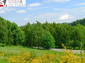Działka 1 985,00 m², Jedlina-Zdrój, Sprzedaż