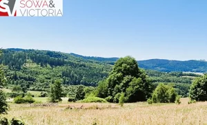 Działka 3 002,00 m², Kolce, Sprzedaż