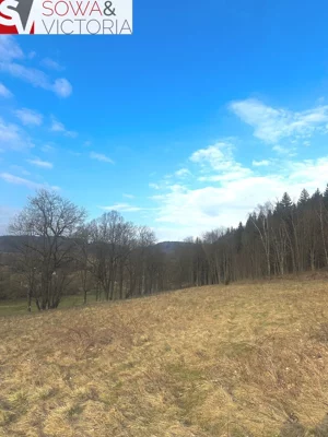 Działka 1 500,00 m², Leszczyniec, Sprzedaż
