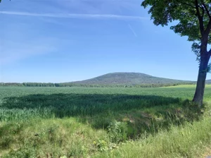 Działka 2 100,00 m², Marcinowice, Sprzedaż