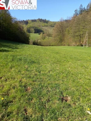 Działka 8 428,00 m², Michałkowa, Sprzedaż