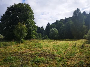Działka 4 600,00 m², Miłoszów, Sprzedaż