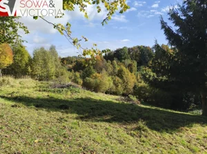 Działka 2 408,00 m², Niedźwiedzica, Sprzedaż